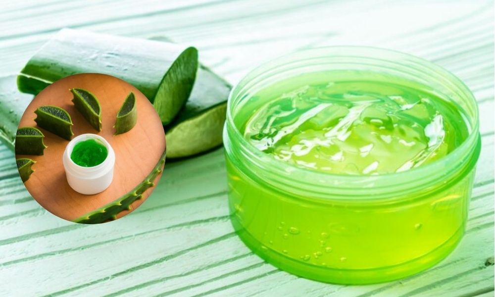  Discover Gel Ooru: Stories of Community, Victory, and Heritage